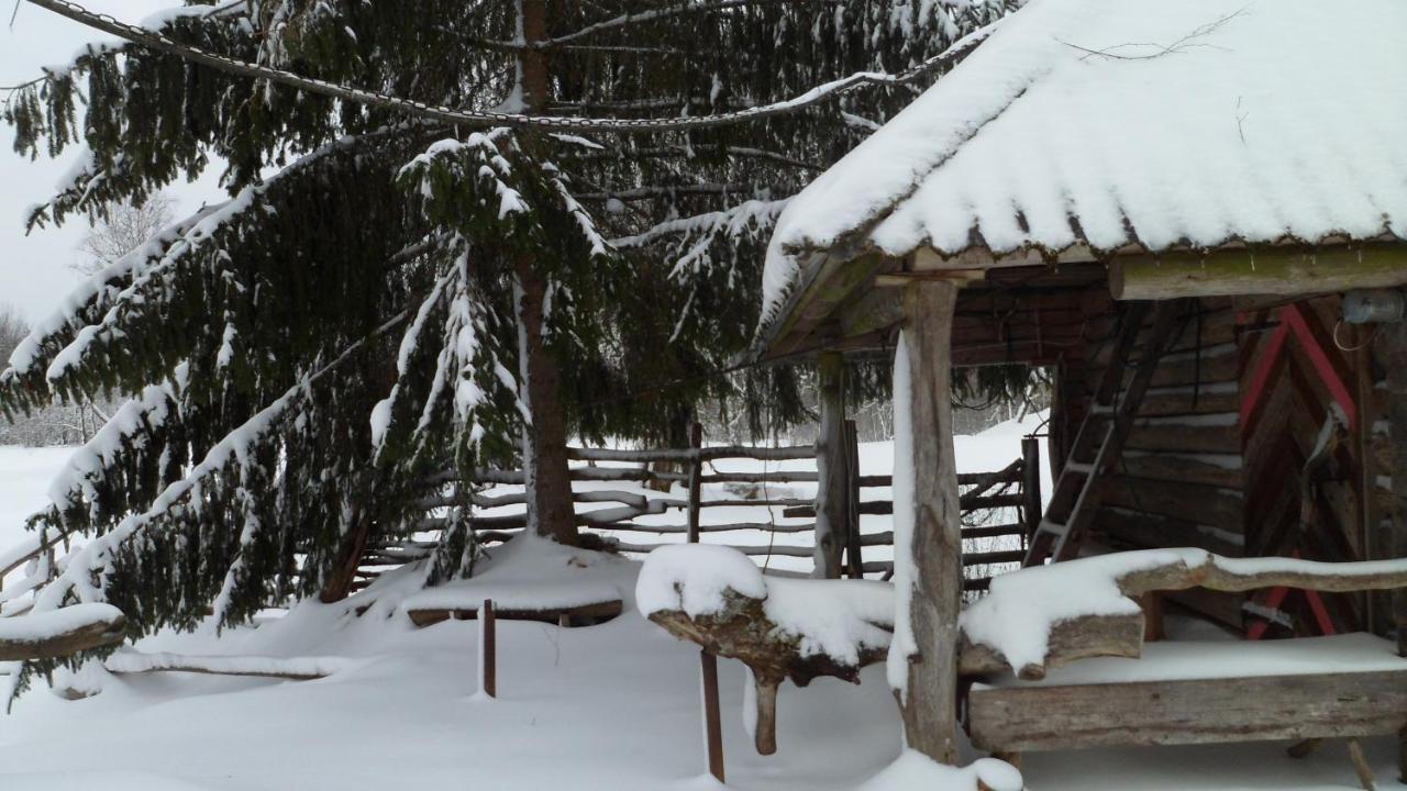 Viruna Farm Kiraste Buitenkant foto