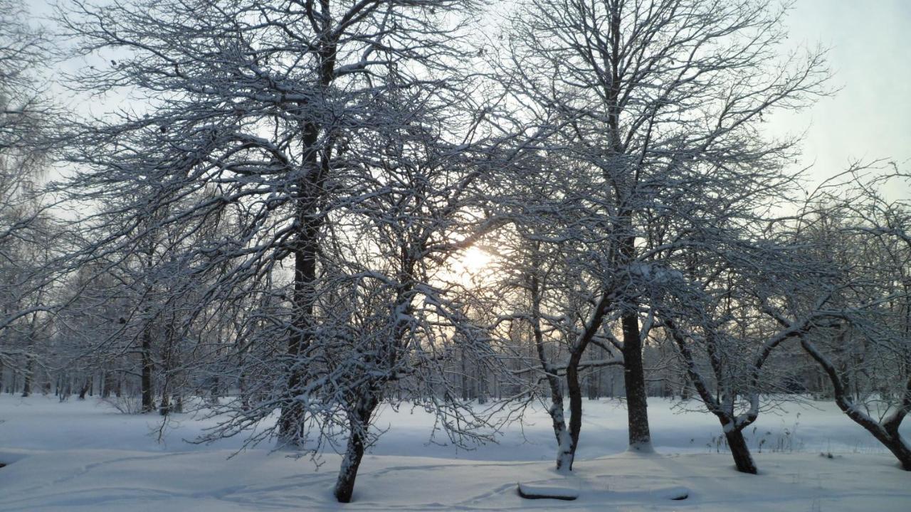 Viruna Farm Kiraste Buitenkant foto