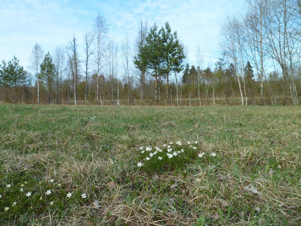 Viruna Farm Kiraste Buitenkant foto