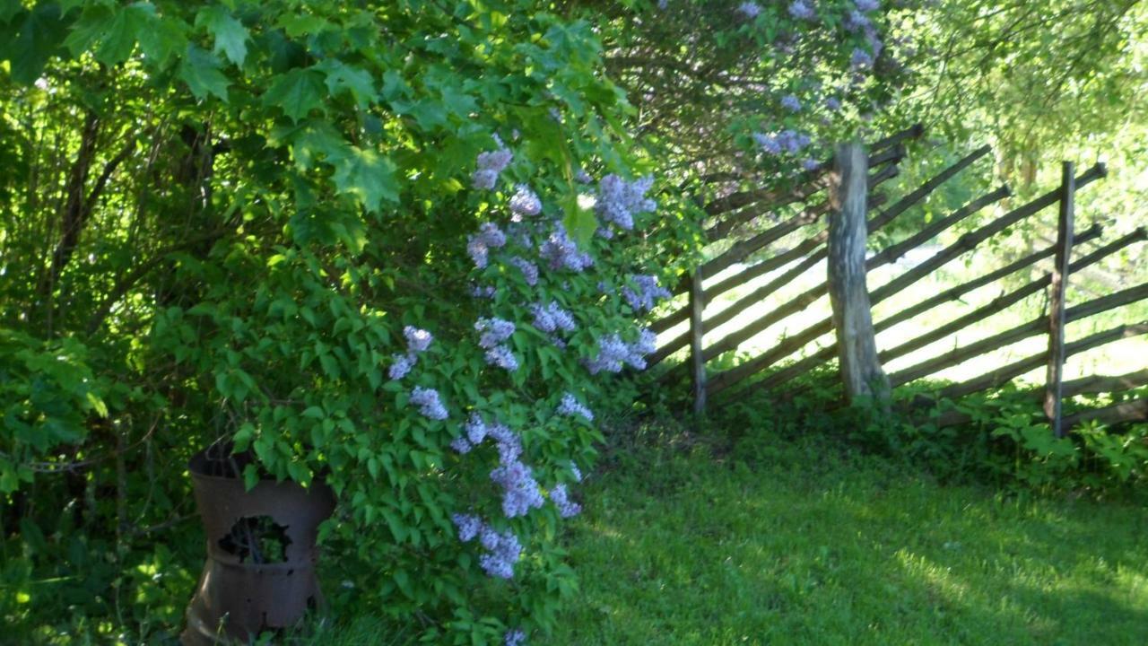 Viruna Farm Kiraste Buitenkant foto