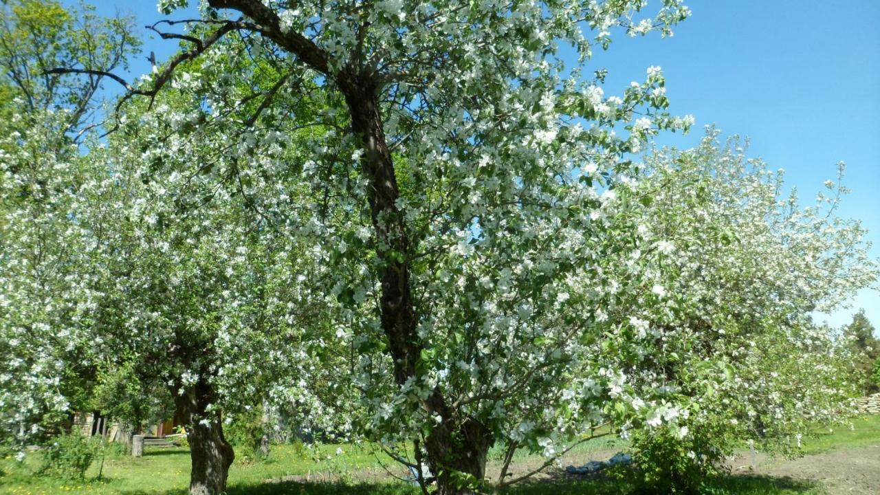 Viruna Farm Kiraste Buitenkant foto