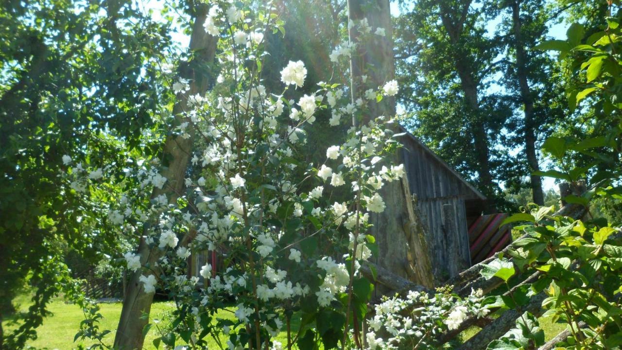 Viruna Farm Kiraste Buitenkant foto