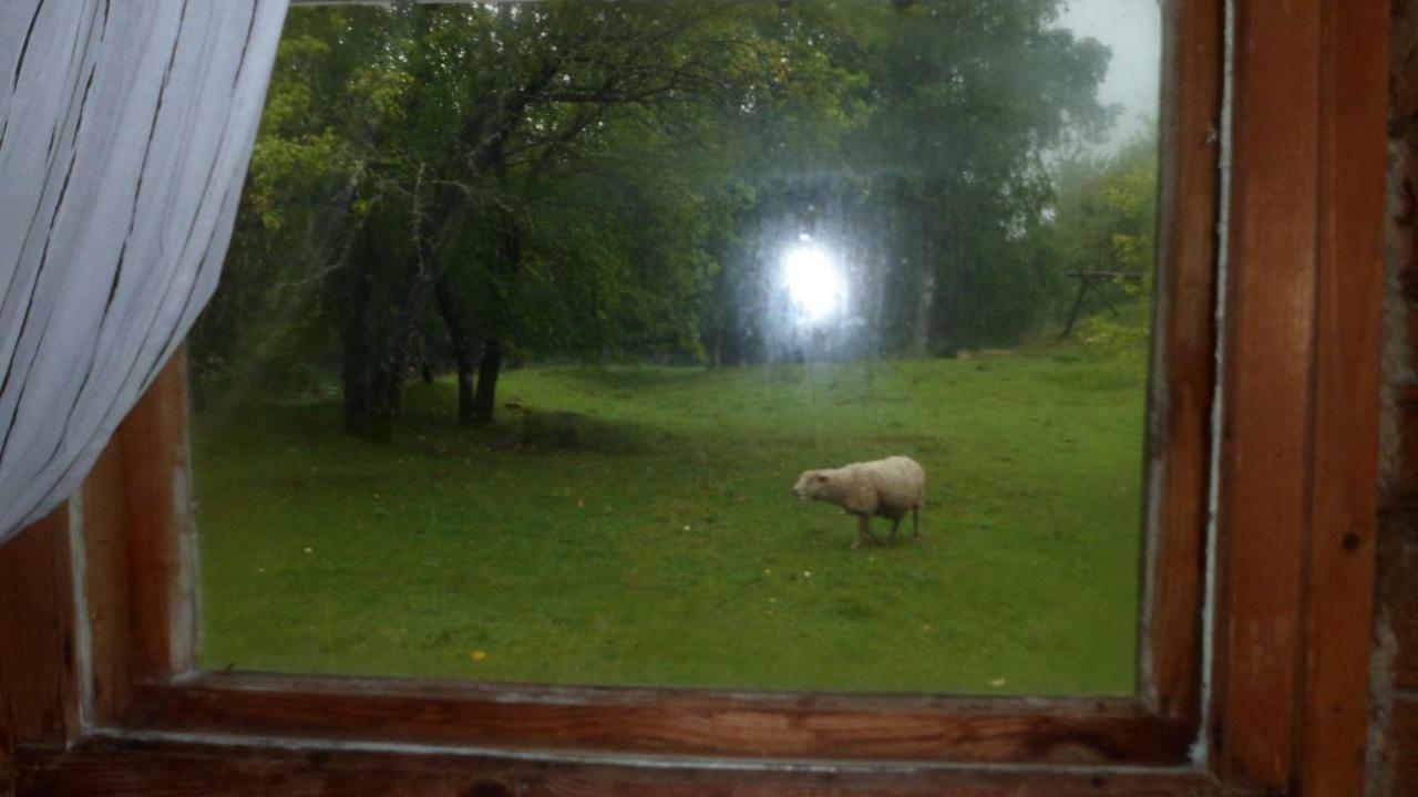 Viruna Farm Kiraste Buitenkant foto